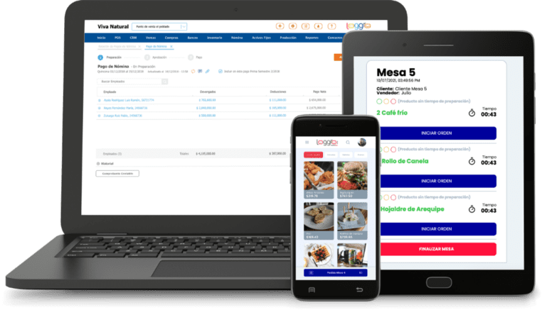 Sistema Software ERP y Facturación Electrónica de Loggro